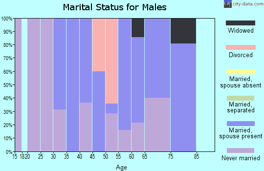 Zip code 60910 marital status for males