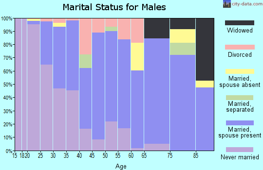 Zip code 60915 marital status for males