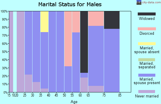 Zip code 60917 marital status for males
