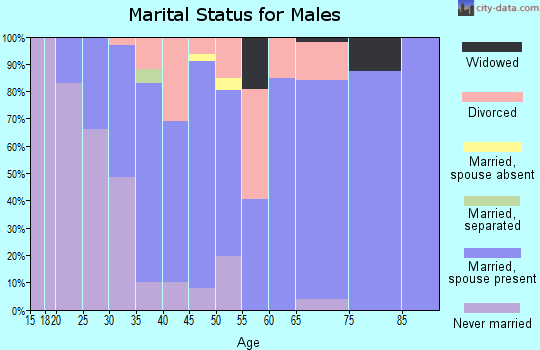 Zip code 60922 marital status for males