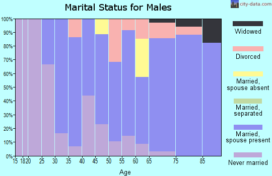 Zip code 60924 marital status for males