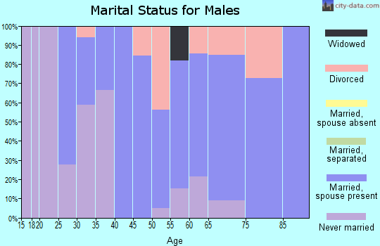 Zip code 60929 marital status for males