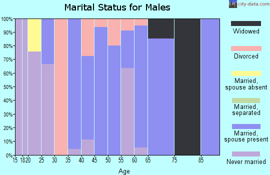 Zip code 60931 marital status for males
