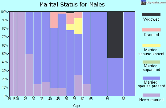 Zip code 60935 marital status for males