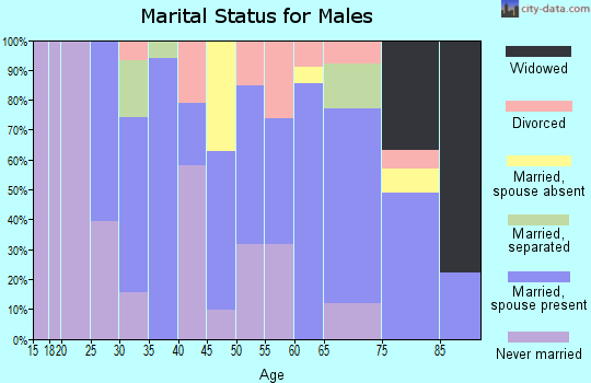 Zip code 60938 marital status for males