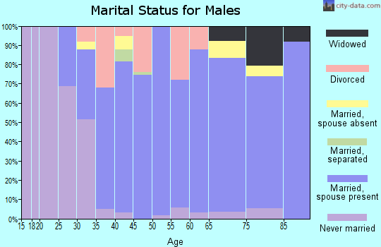 Zip code 60940 marital status for males