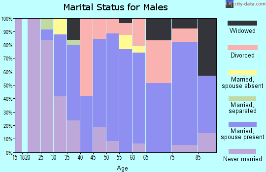 Zip code 60942 marital status for males