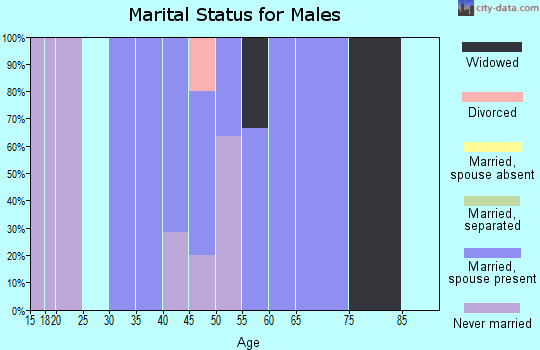Zip code 60945 marital status for males