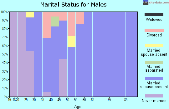 Zip code 60948 marital status for males