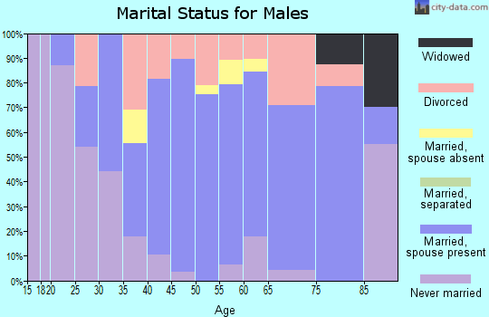 Zip code 60953 marital status for males