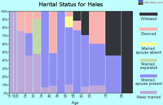Zip code 60960 marital status for males