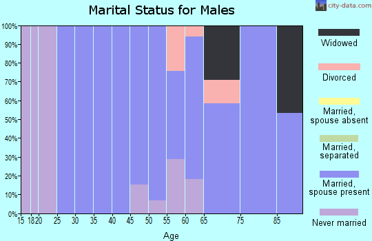 Zip code 60961 marital status for males