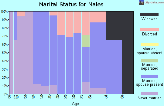 Zip code 60962 marital status for males