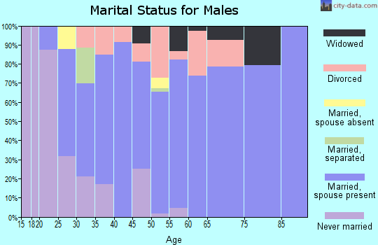 Zip code 60963 marital status for males