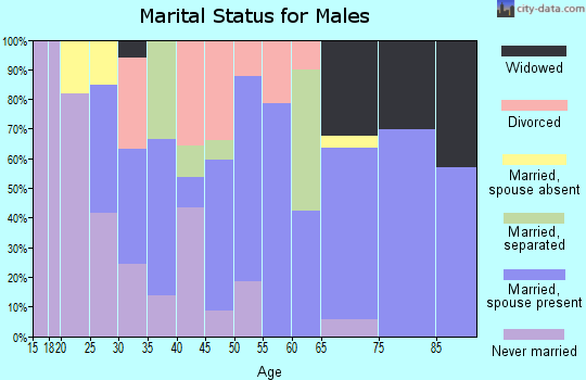 Zip code 60966 marital status for males
