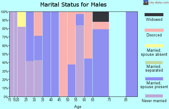 Zip code 60974 marital status for males