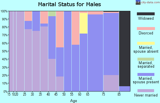 Zip code 61001 marital status for males