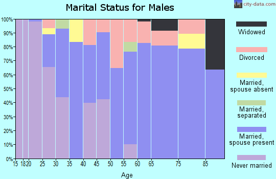 Zip code 61006 marital status for males
