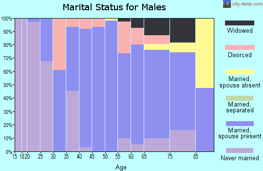 Zip code 61010 marital status for males