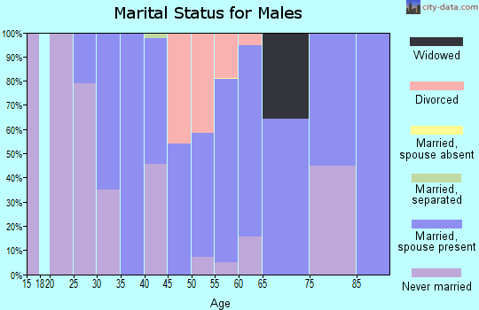 Zip code 61011 marital status for males