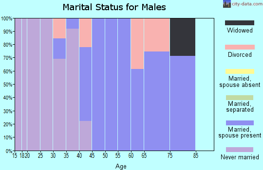 Zip code 61013 marital status for males
