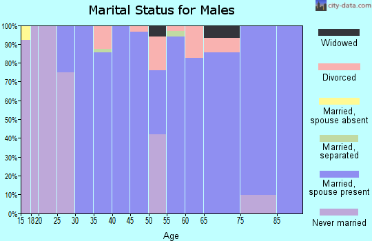 Zip code 61014 marital status for males