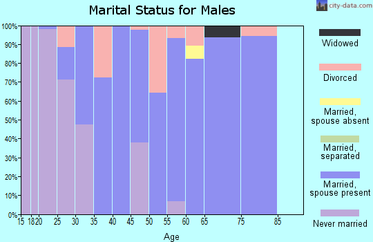 Zip code 61018 marital status for males