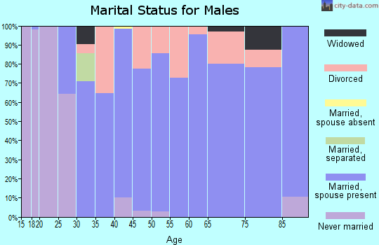 Zip code 61019 marital status for males