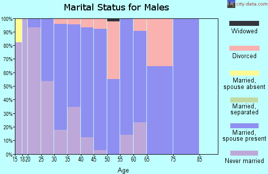 Zip code 61020 marital status for males