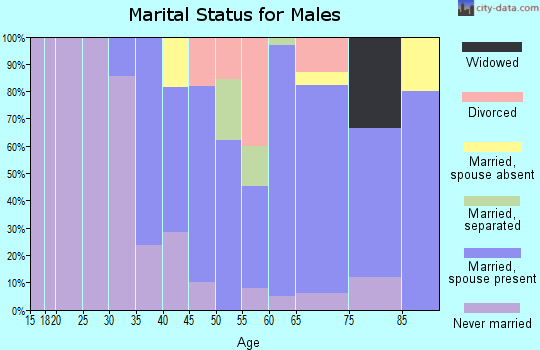 Zip code 61041 marital status for males