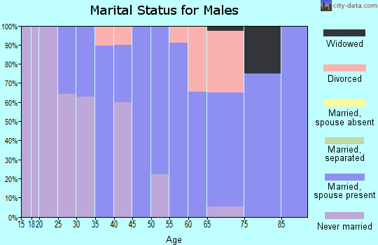 Zip code 61042 marital status for males