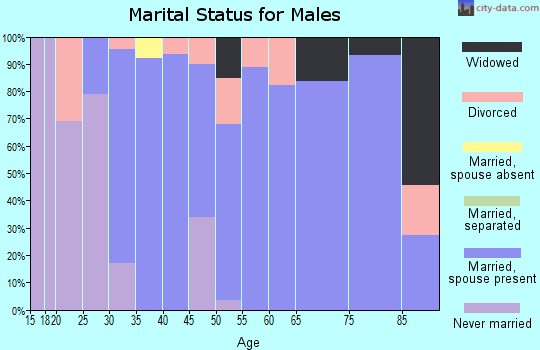 Zip code 61051 marital status for males