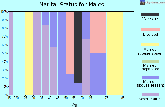 Zip code 61059 marital status for males