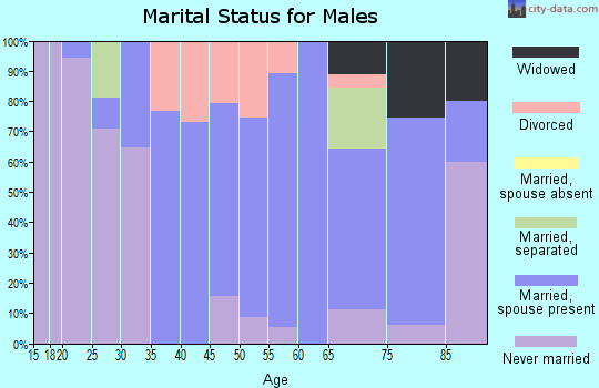 Zip code 61060 marital status for males