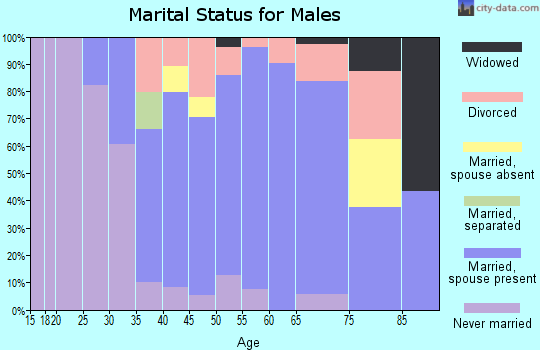 Zip code 61062 marital status for males