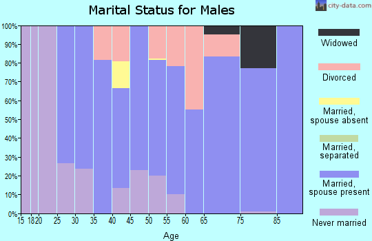 Zip code 61063 marital status for males