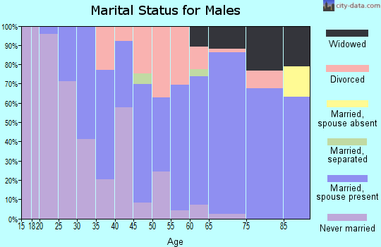 Zip code 61064 marital status for males