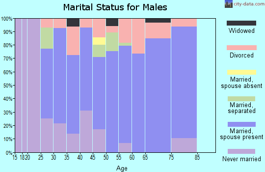 Zip code 61065 marital status for males
