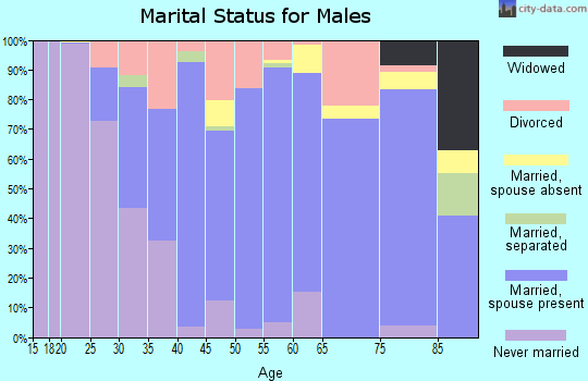 Zip code 61068 marital status for males