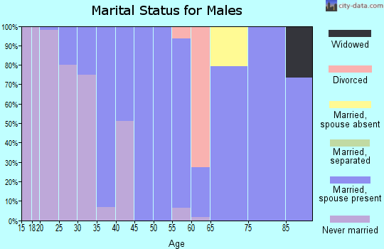 Zip code 61070 marital status for males