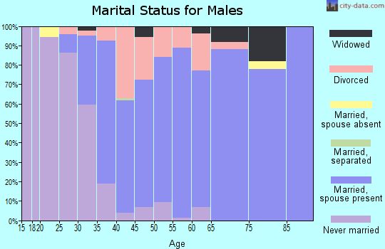 Zip code 61072 marital status for males