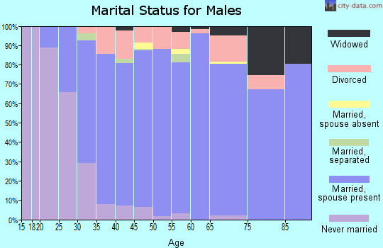 Zip code 61073 marital status for males