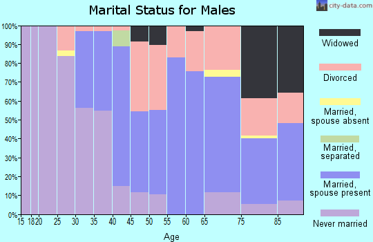 Zip code 61074 marital status for males