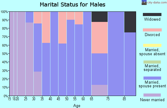 Zip code 61075 marital status for males