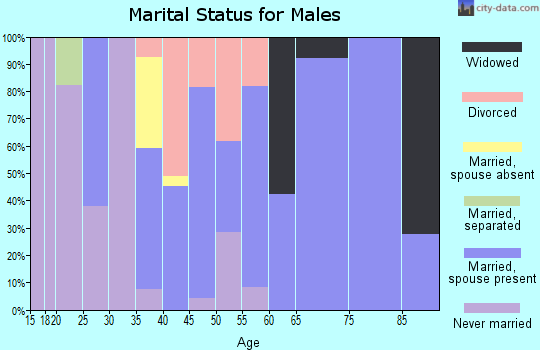 Zip code 61078 marital status for males