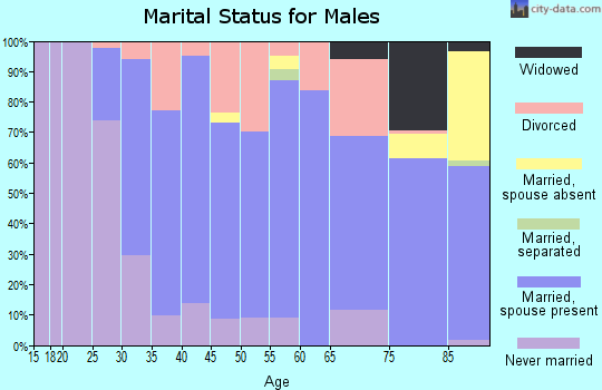 Zip code 61080 marital status for males