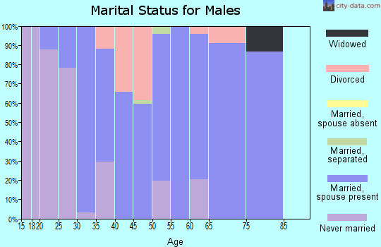 Zip code 61084 marital status for males