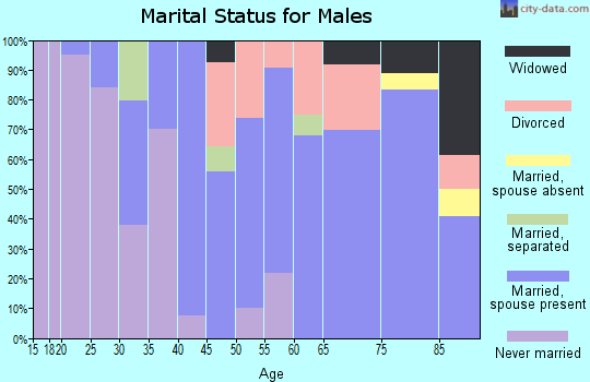 Zip code 61085 marital status for males