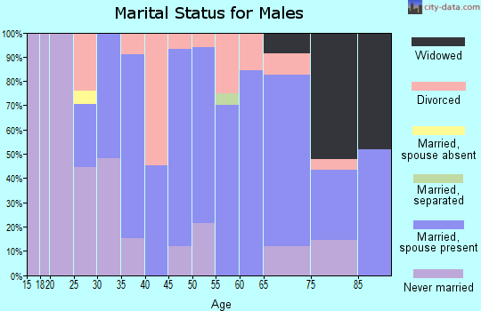 Zip code 61087 marital status for males