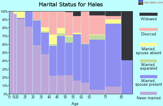 Zip code 61101 marital status for males